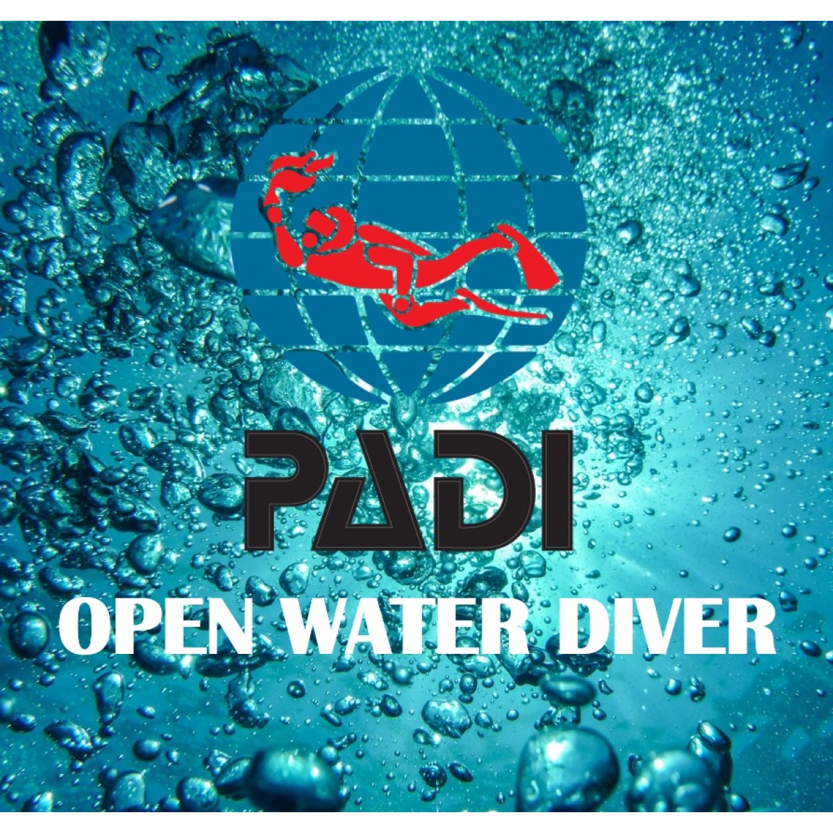 PADI OPEN WATER DIVER Din indgang til en verden under vand!